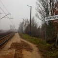 Przystanek Rybienko