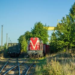 T448p