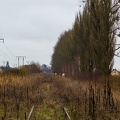 D29-35 Ostrołęka 