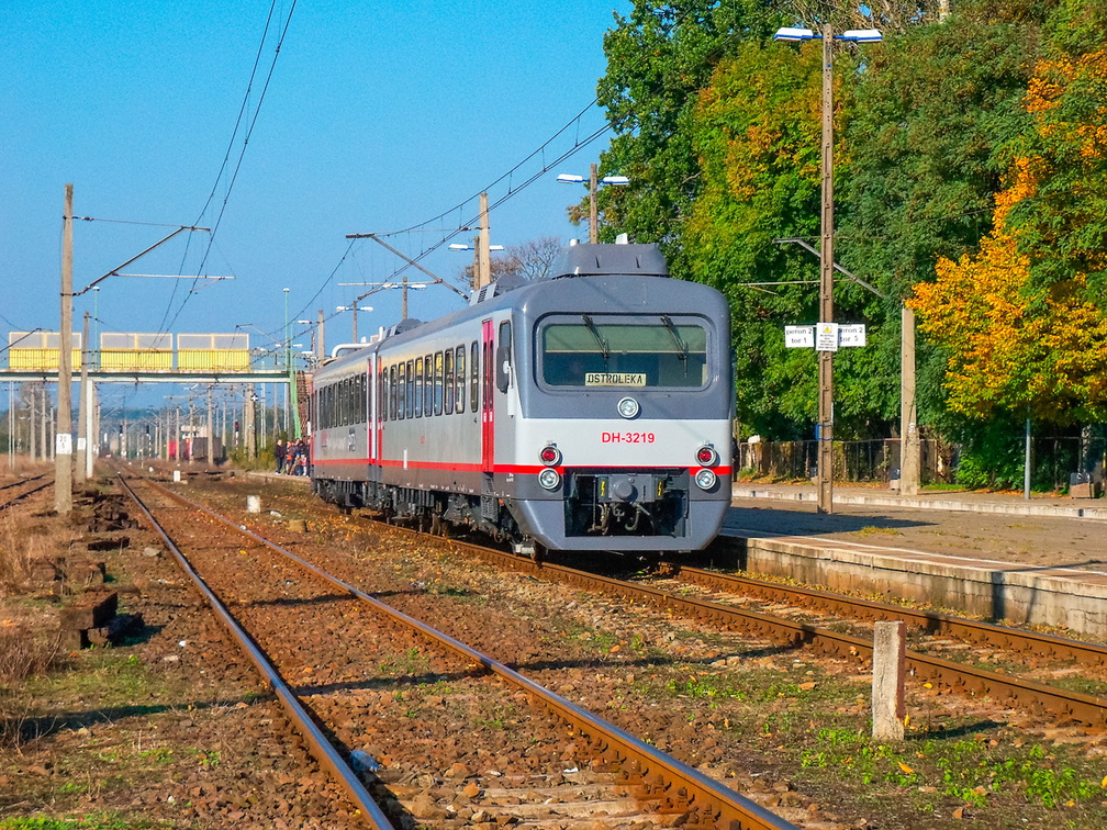 DH-3219