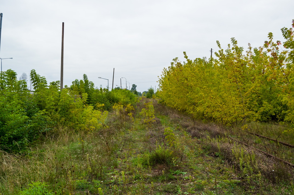 Tor bocznicy "Pole" w 2013r.