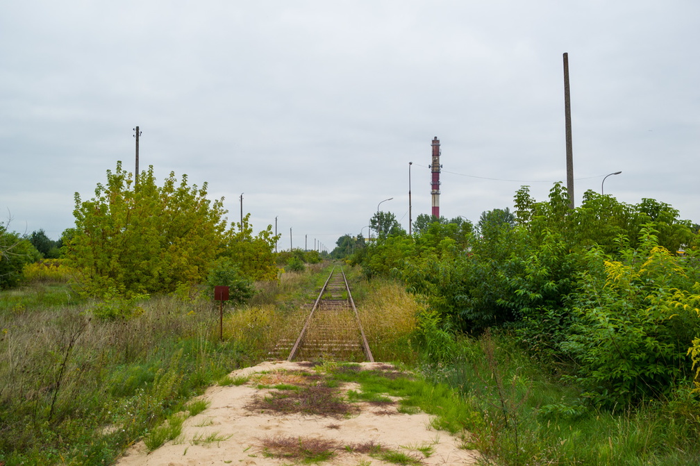Tor bocznicy "Pole" w 2013r.