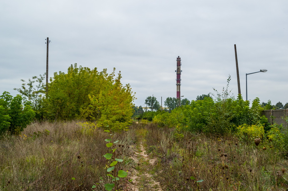Tor bocznicy "Pole" w 2013r.