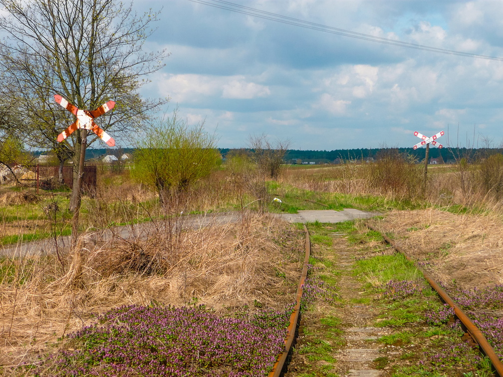 Przejazd na bocznicy przed stacją