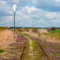 Tarcza manewrowa na wyjeździe z bocznicy