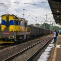 771 515-4