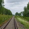 Szlak Sokoły - Łapy