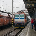 ES499.1001