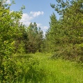 Linia Czerwony Bór - Zambrów
