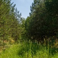 Linia Czerwony Bór - Zambrów